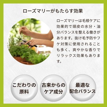 【今月のおすすめ】リアルマリーピュリファイングスカルプスケーラー200ml