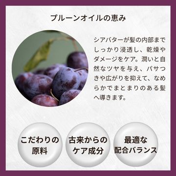 【今月のおすすめ】リアルプルーンカラープロテクトシャンプー400ml