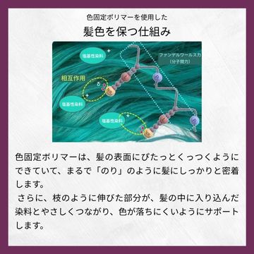 【今月のおすすめ】リアルプルーンカラープロテクトシャンプー400ml