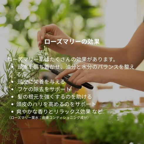 ミニセット(ローズマリー)※スカルプパック50mlの種類をご確認ください。他の種類は別ページからご注文ください。