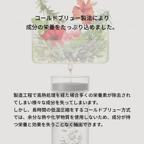 コールドブリュー 説明