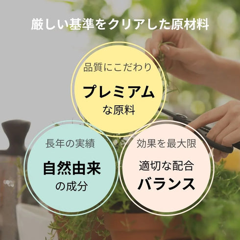 【今月のおすすめ】リアルプルーンカラープロテクトシャンプー400ml