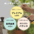【今月のおすすめ】リアルプルーンカラープロテクトシャンプー400ml